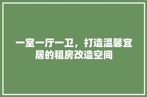一室一厅一卫，打造温馨宜居的租房改造空间 施工工艺
