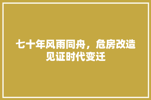 七十年风雨同舟，危房改造见证时代变迁 施工管理