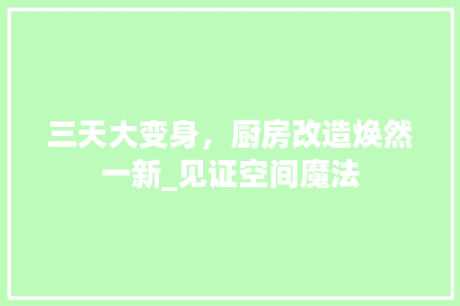 三天大变身，厨房改造焕然一新_见证空间魔法