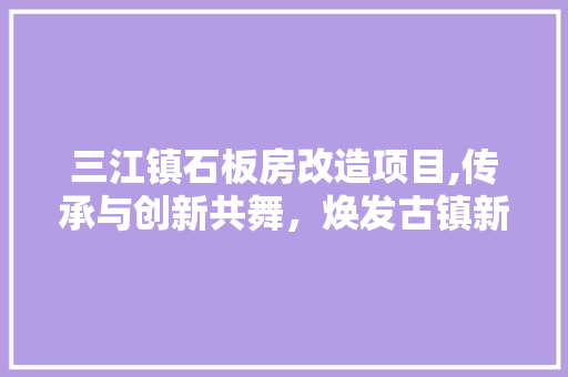 三江镇石板房改造项目,传承与创新共舞，焕发古镇新活力 建筑设计