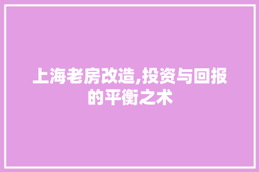 上海老房改造,投资与回报的平衡之术