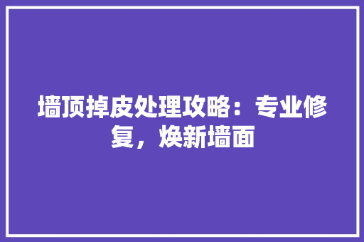 墙顶掉皮处理攻略：专业修复，焕新墙面
