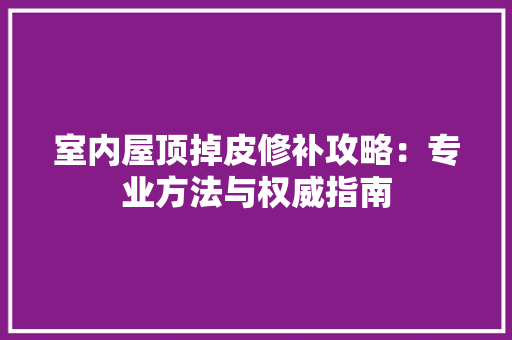 室内屋顶掉皮修补攻略：专业方法与权威指南