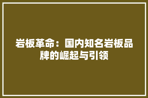 岩板革命：国内知名岩板品牌的崛起与引领 常用建材