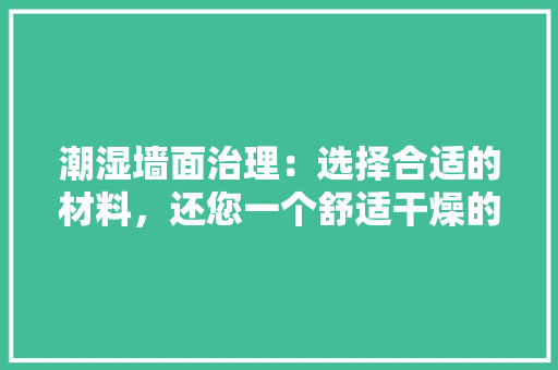 潮湿墙面治理：选择合适的材料，还您一个舒适干燥的家