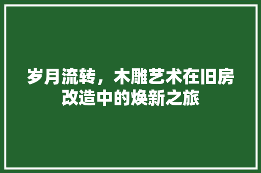 岁月流转，木雕艺术在旧房改造中的焕新之旅