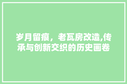 岁月留痕，老瓦房改造,传承与创新交织的历史画卷