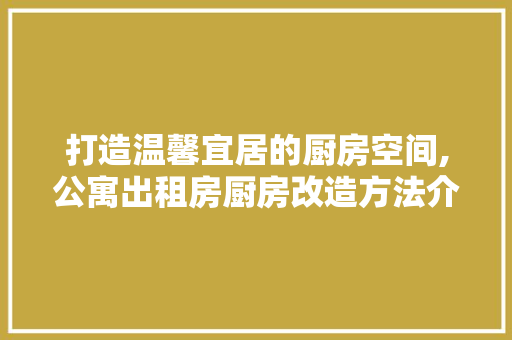 打造温馨宜居的厨房空间,公寓出租房厨房改造方法介绍 施工管理