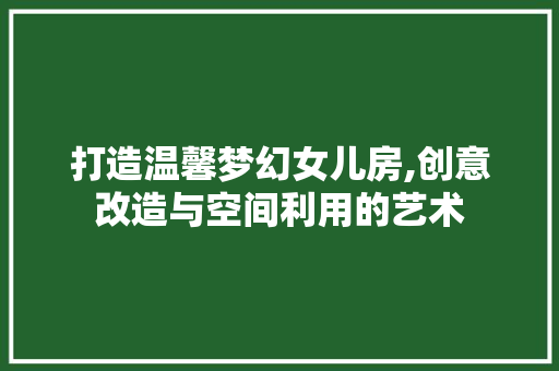 打造温馨梦幻女儿房,创意改造与空间利用的艺术