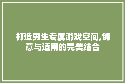 打造男生专属游戏空间,创意与适用的完美结合