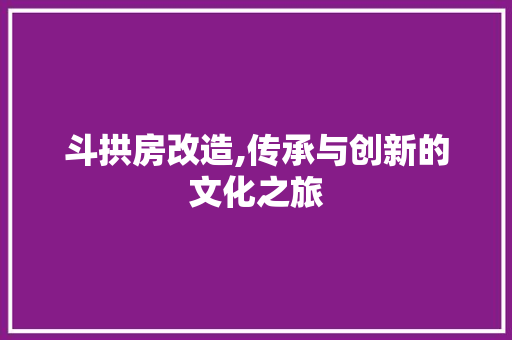 斗拱房改造,传承与创新的文化之旅 常用设备