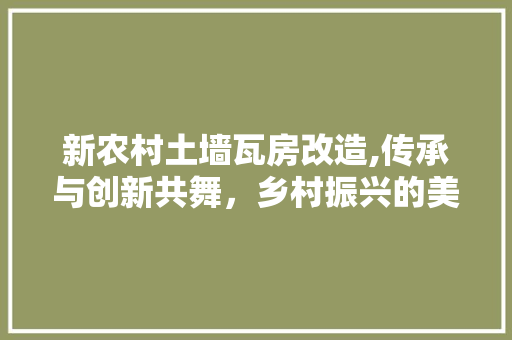 新农村土墙瓦房改造,传承与创新共舞，乡村振兴的美丽画卷