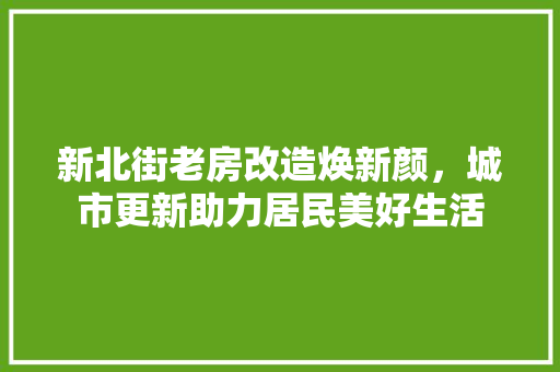 新北街老房改造焕新颜，城市更新助力居民美好生活