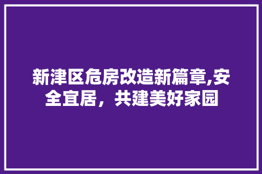 新津区危房改造新篇章,安全宜居，共建美好家园 知识问答
