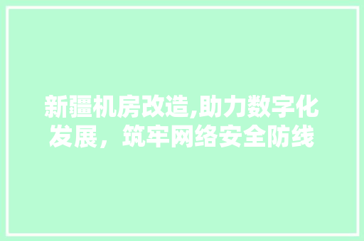 新疆机房改造,助力数字化发展，筑牢网络安全防线 工艺流程