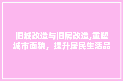 旧城改造与旧房改造,重塑城市面貌，提升居民生活品质