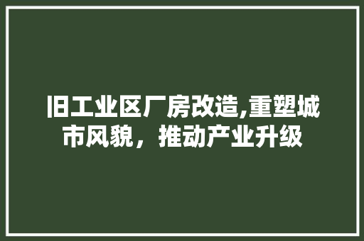 旧工业区厂房改造,重塑城市风貌，推动产业升级