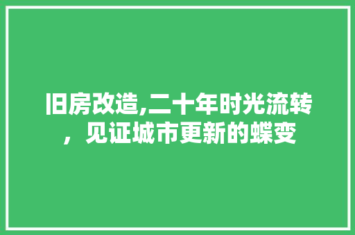 旧房改造,二十年时光流转，见证城市更新的蝶变