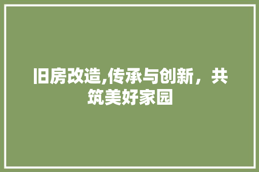 旧房改造,传承与创新，共筑美好家园 新型材料