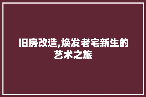 旧房改造,焕发老宅新生的艺术之旅