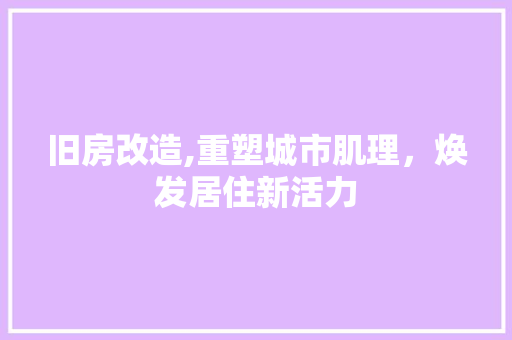 旧房改造,重塑城市肌理，焕发居住新活力 施工工艺