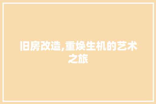 旧房改造,重焕生机的艺术之旅