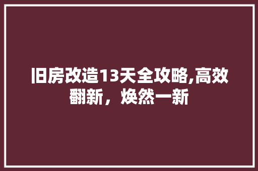 旧房改造13天全攻略,高效翻新，焕然一新