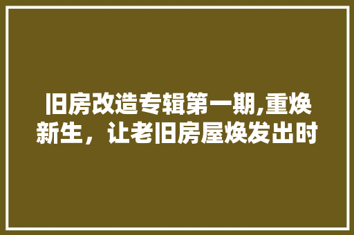 旧房改造专辑第一期,重焕新生，让老旧房屋焕发出时代光彩