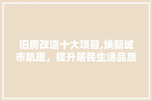 旧房改造十大项目,焕新城市肌理，提升居民生活品质