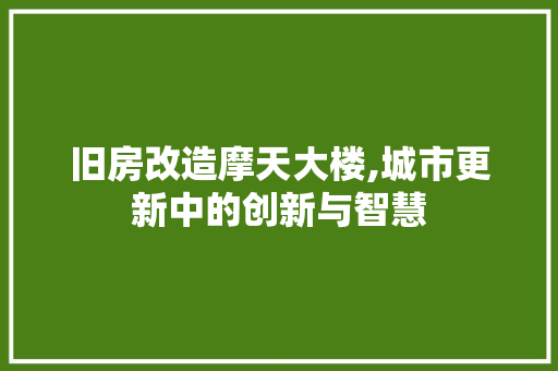 旧房改造摩天大楼,城市更新中的创新与智慧