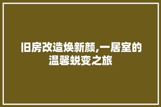 旧房改造焕新颜,一居室的温馨蜕变之旅