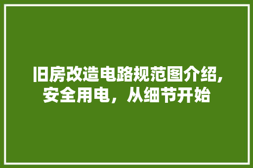 旧房改造电路规范图介绍,安全用电，从细节开始