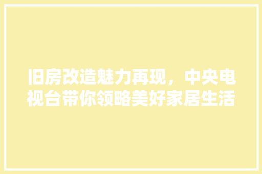 旧房改造魅力再现，中央电视台带你领略美好家居生活