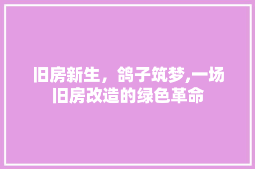 旧房新生，鸽子筑梦,一场旧房改造的绿色革命 施工工艺