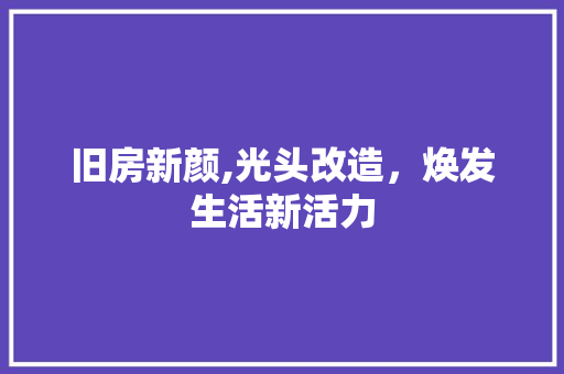 旧房新颜,光头改造，焕发生活新活力