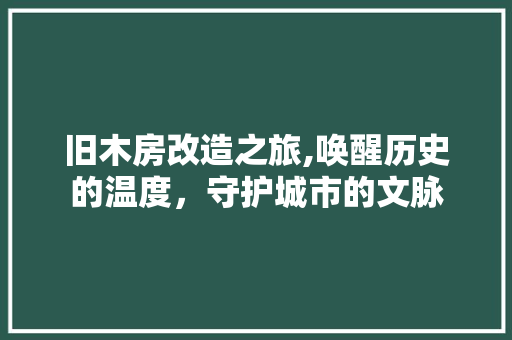 旧木房改造之旅,唤醒历史的温度，守护城市的文脉