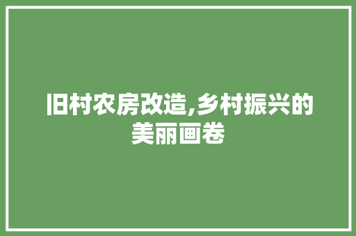 旧村农房改造,乡村振兴的美丽画卷 建筑设计