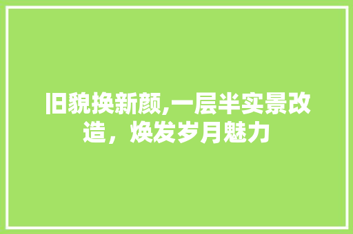 旧貌换新颜,一层半实景改造，焕发岁月魅力