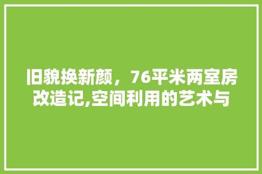 旧貌换新颜，76平米两室房改造记,空间利用的艺术与智慧 常用设备