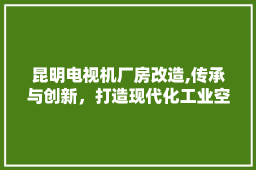 昆明电视机厂房改造,传承与创新，打造现代化工业空间