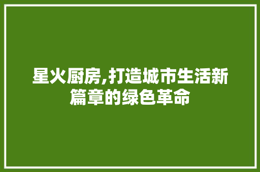 星火厨房,打造城市生活新篇章的绿色革命 设计原则