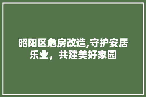 昭阳区危房改造,守护安居乐业，共建美好家园