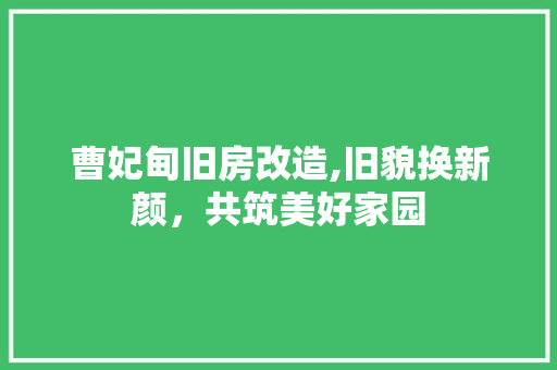 曹妃甸旧房改造,旧貌换新颜，共筑美好家园