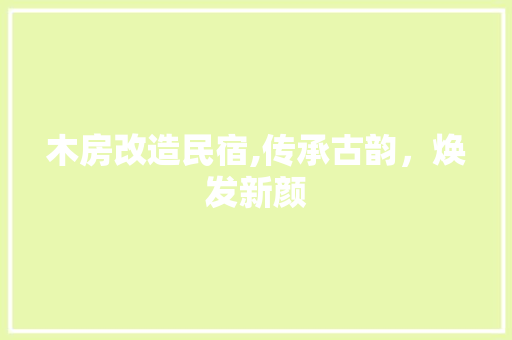 木房改造民宿,传承古韵，焕发新颜 新型材料