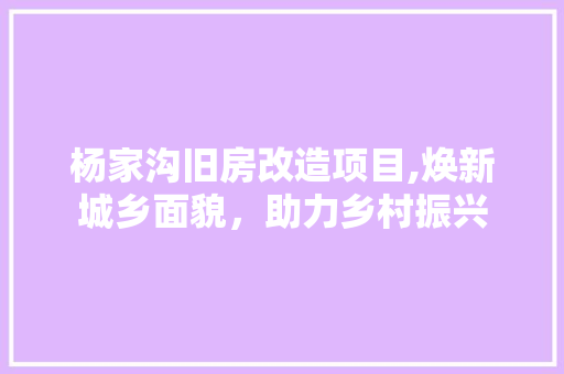 杨家沟旧房改造项目,焕新城乡面貌，助力乡村振兴 常用设备