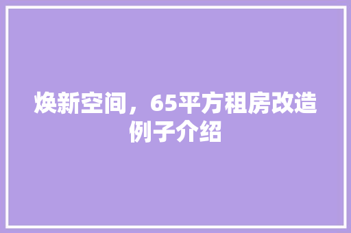 焕新空间，65平方租房改造例子介绍