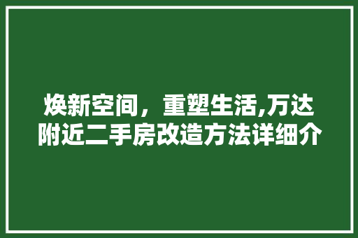 焕新空间，重塑生活,万达附近二手房改造方法详细介绍 设计原则