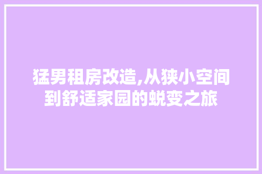 猛男租房改造,从狭小空间到舒适家园的蜕变之旅