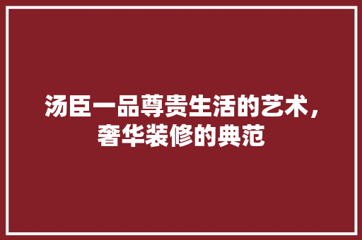 汤臣一品尊贵生活的艺术，奢华装修的典范 常用设备