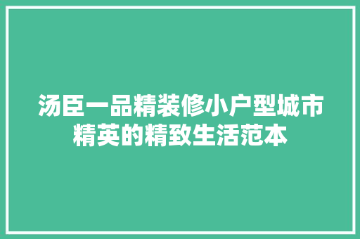 汤臣一品精装修小户型城市精英的精致生活范本